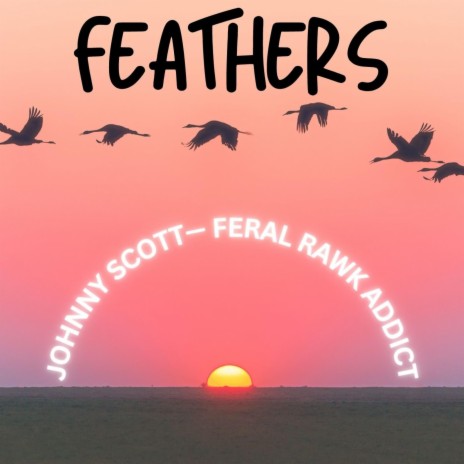 Feathers | Boomplay Music