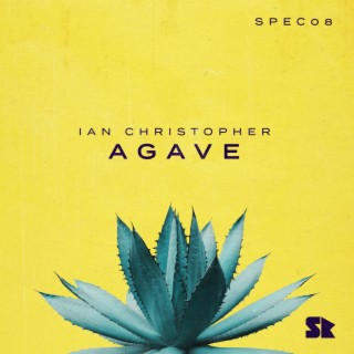 Agave