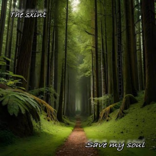 save my soul lyrics | Boomplay Music