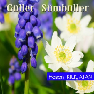 Güller Sümbüller