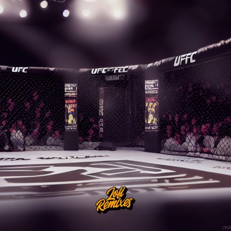 Face The Pain - UFC Anthem (lofi edit) ft. The Remix Station | Boomplay Music