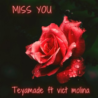 Miss You ft. vict molina lyrics | Boomplay Music