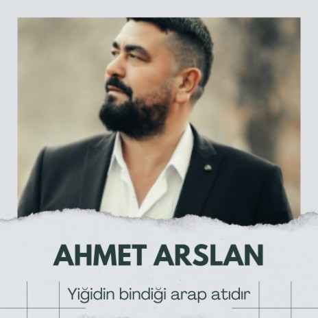 Yiğidin bindiği arap atıdır | Boomplay Music