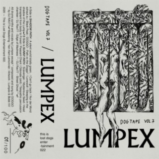 Lumpex