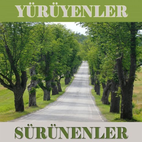 Yürüyenler ve Sürünenler 04.Bölüm | Boomplay Music