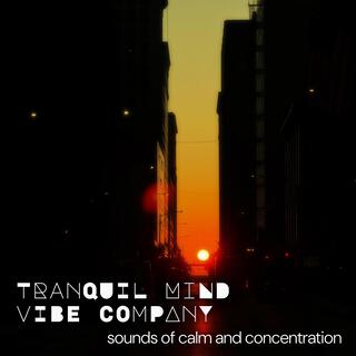 Tranquil Mind Vibe Company: Sounds of Calm and Concentration