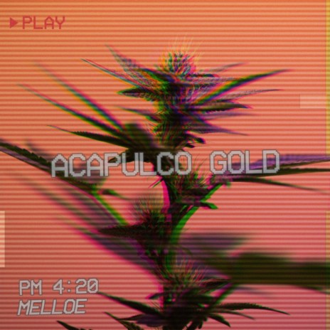acapulco gold | Boomplay Music
