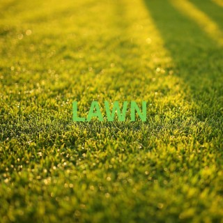 Lawn