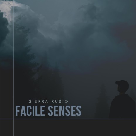 Facile Senses | Boomplay Music