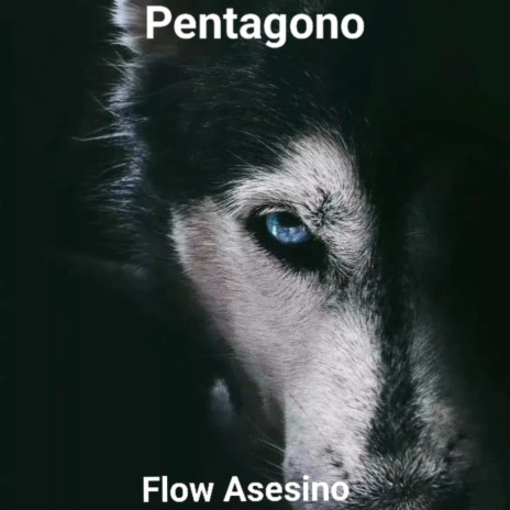 Flow Asesino | Boomplay Music