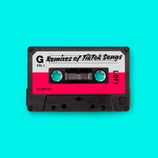 LoFi Remixes of Famous TikTok Songs (songs stuck in your head)