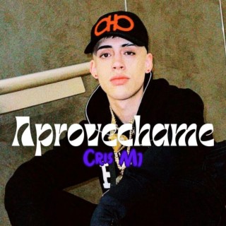 Aprovechame (Cris Mj - ia) IAVERSO #1 lyrics | Boomplay Music
