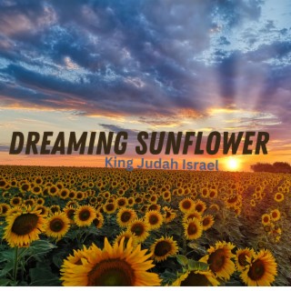 Dreaming Sunflower