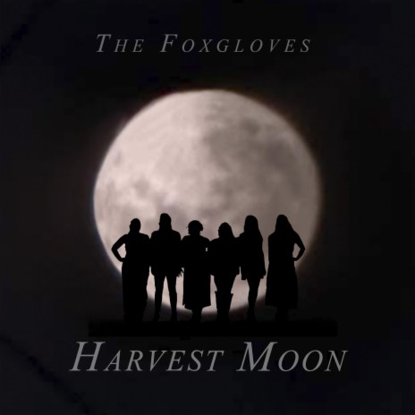 Harvest Moon | Boomplay Music