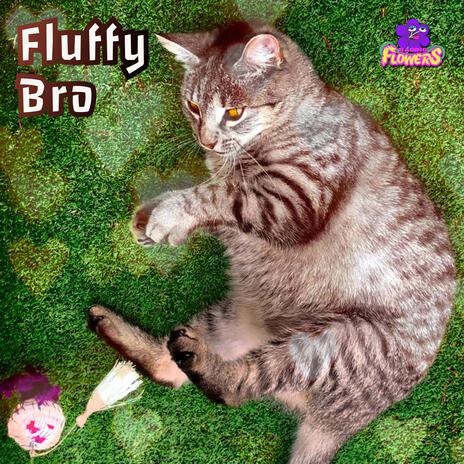 Fluffy Bro | Boomplay Music