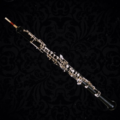 Gabriel's Oboe (Sean's Orchestra) | Boomplay Music