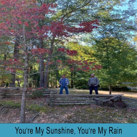 You're My Sunshine, You're My Rain | Boomplay Music