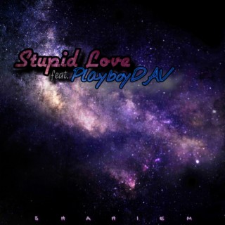 Stupid Love