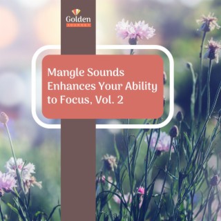 Mangle Sounds Enhances Your Ability to Focus, Vol. 2