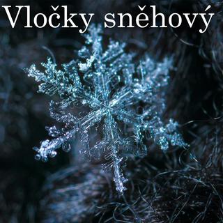 Vločky sněhový