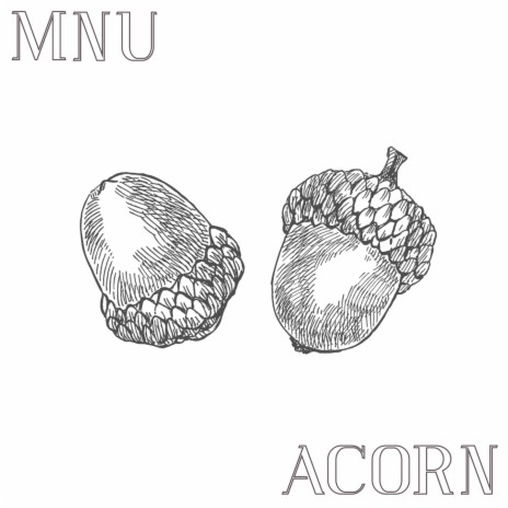 Acorn