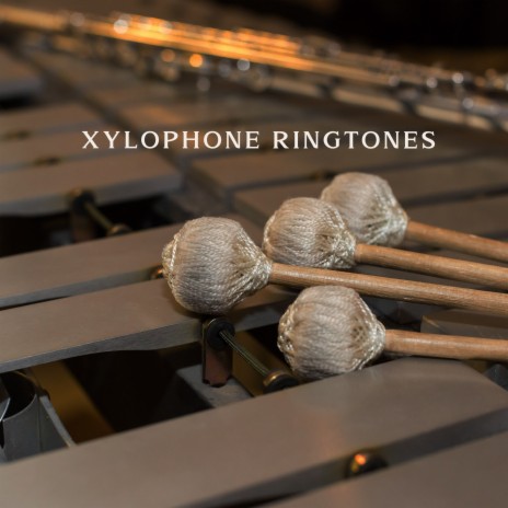 Xylophone Wake Up | Boomplay Music