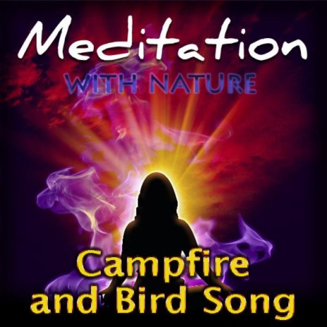 Campfire and Bird Song | Boomplay Music