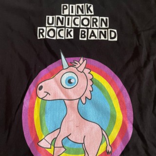 Pink Unicorn Rock Band