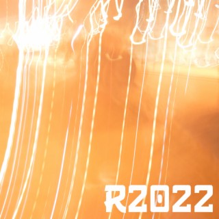 R2022 (2022 Version)