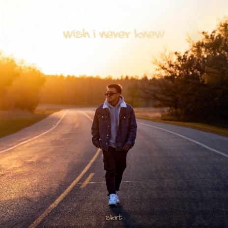 Wish I never knew | Boomplay Music