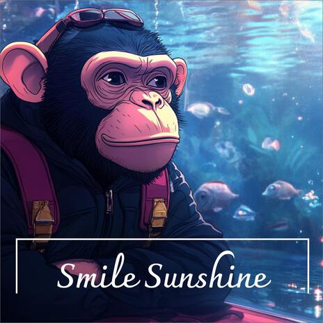 Smile Sunshine | Boomplay Music