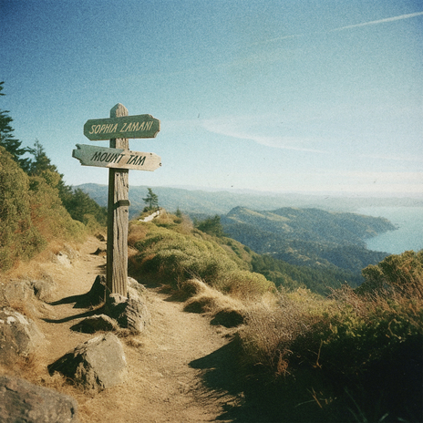 Mount Tam | Boomplay Music