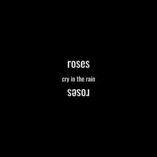cry in the rain lyrics | Boomplay Music