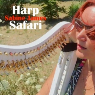 Harp Safari