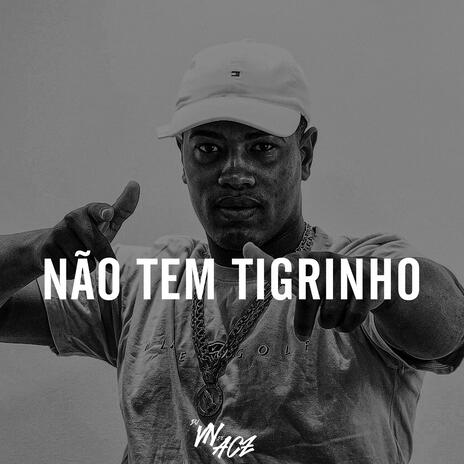 NÃO TEM TIGRINHO | Boomplay Music