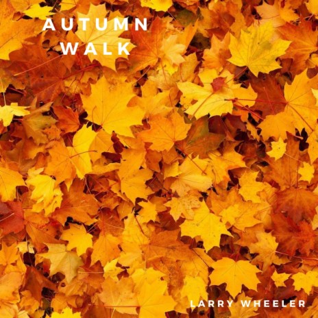 Autumn Walk | Boomplay Music