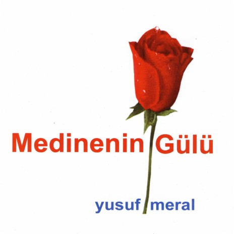 Medine'nin Gülü (Remix) | Boomplay Music