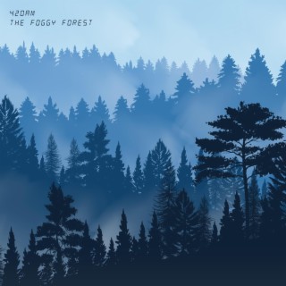 The Foggy Forest