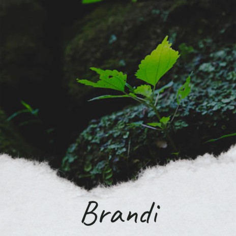 Brandi | Boomplay Music