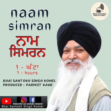 NAAM SIMRAN | Boomplay Music