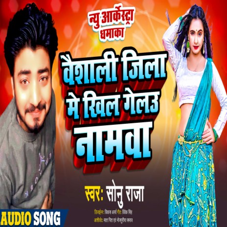 Vaishali Jila Me Khil Gelau Namawa (Bhojpuri) | Boomplay Music