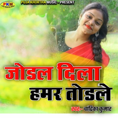 Jodal Dila Hamar Todle | Boomplay Music