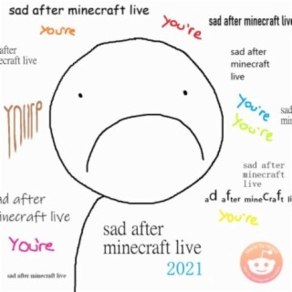 sad after minecraft live