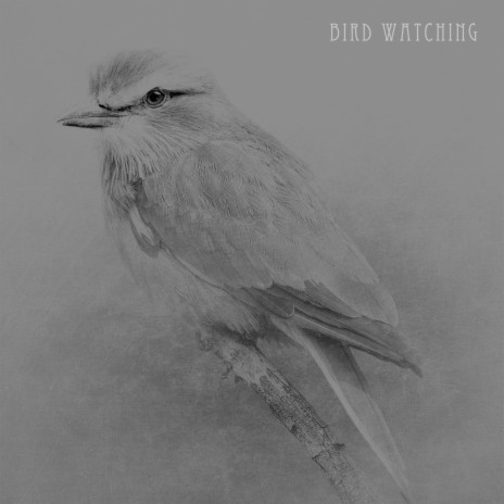 Bird watching ft. John HW Barber