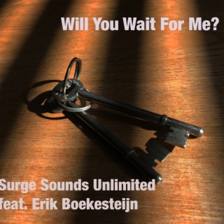 Will You Wait For Me? ft. Erik Boekesteijn lyrics | Boomplay Music