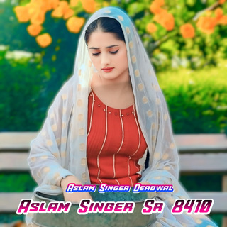 Aslam Singer Sr 8410