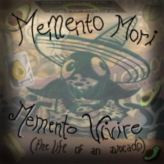 Memento mori, memento vivire (The Life of an Avocado)