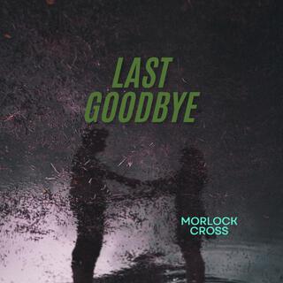 Last Goodbye lyrics | Boomplay Music