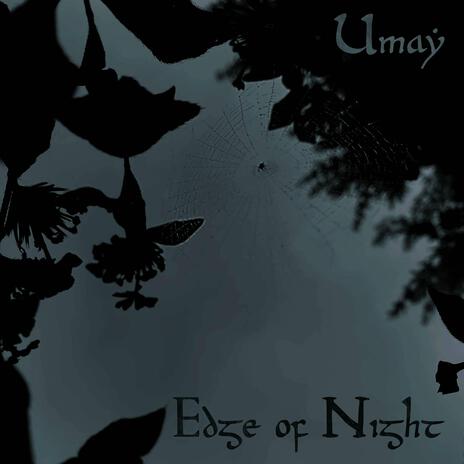 Edge of Night (Pippin's Song) | Boomplay Music