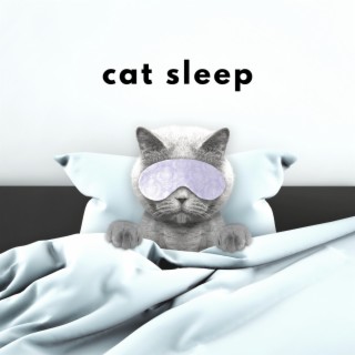 Cat Sleep